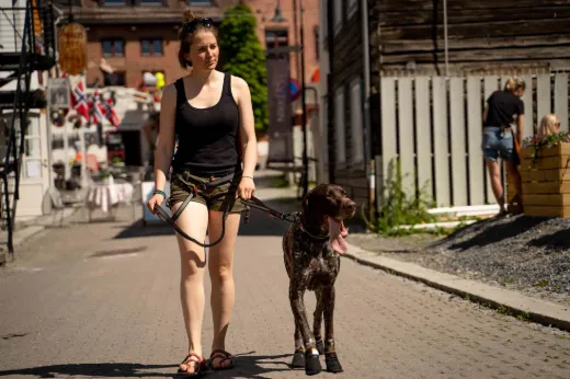 Bilde av Non-stop dogwear Touring bungee adjustable 2,1 m 